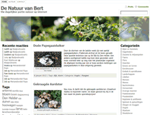 Tablet Screenshot of bertpijs.nl